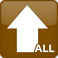 Achievement Icon for A Pillar of Support