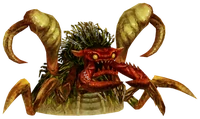 Antlion