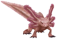 Axolotl