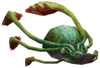 Gigan Octopus