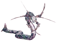Maliris