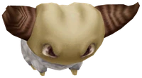 Yan