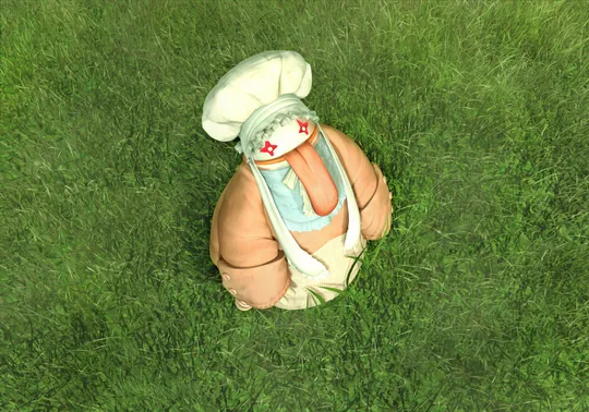 Quina Character Portrait