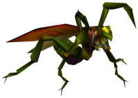 Kimara Bug