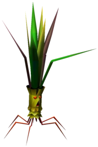 Mandragora