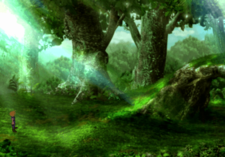 The Ancient Forest