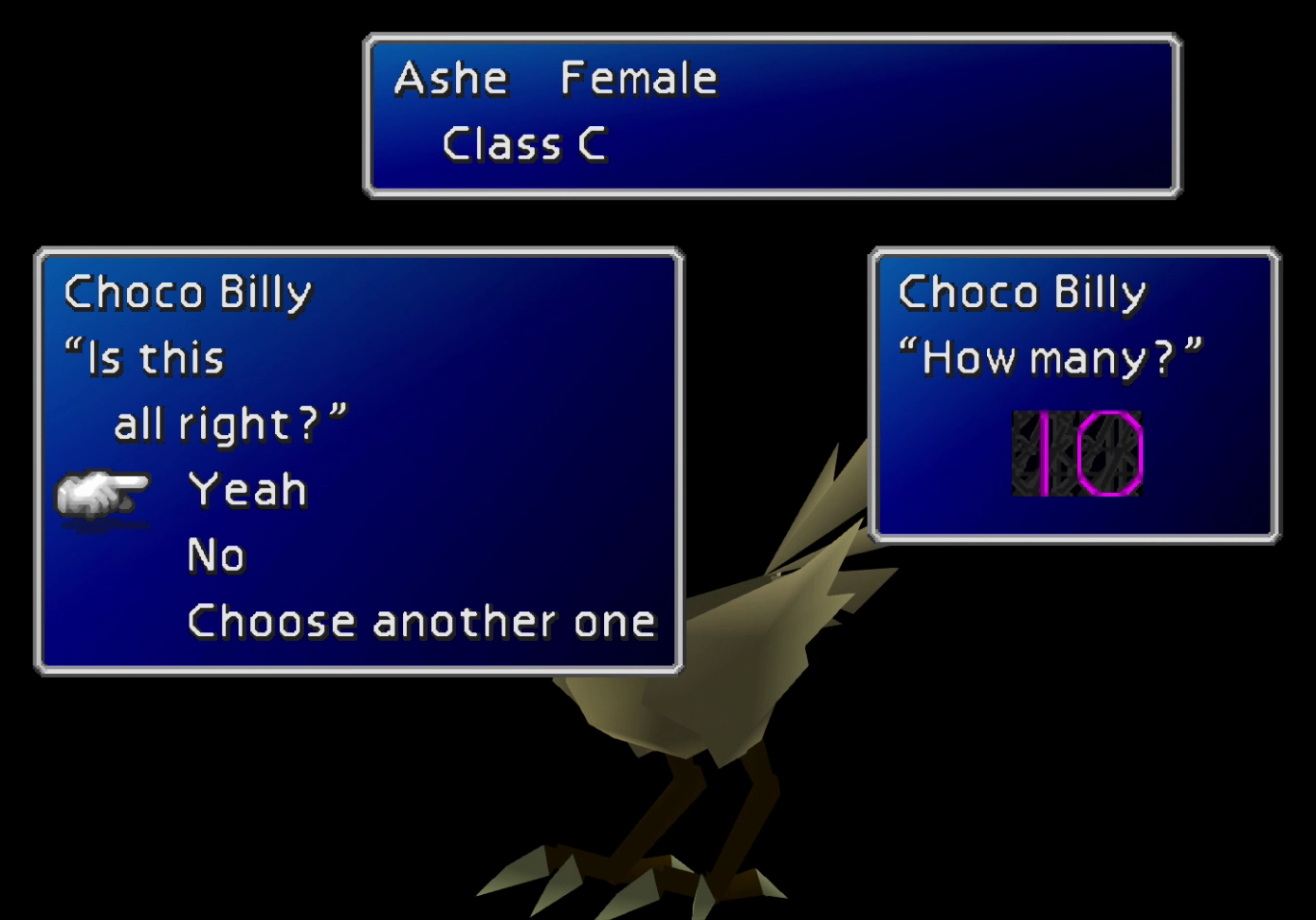 Chole’s Chocobo Inspection