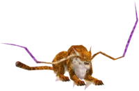 Torama