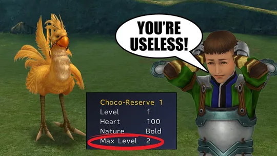 Thumbnail of the video for Chocobo Ranch Guide