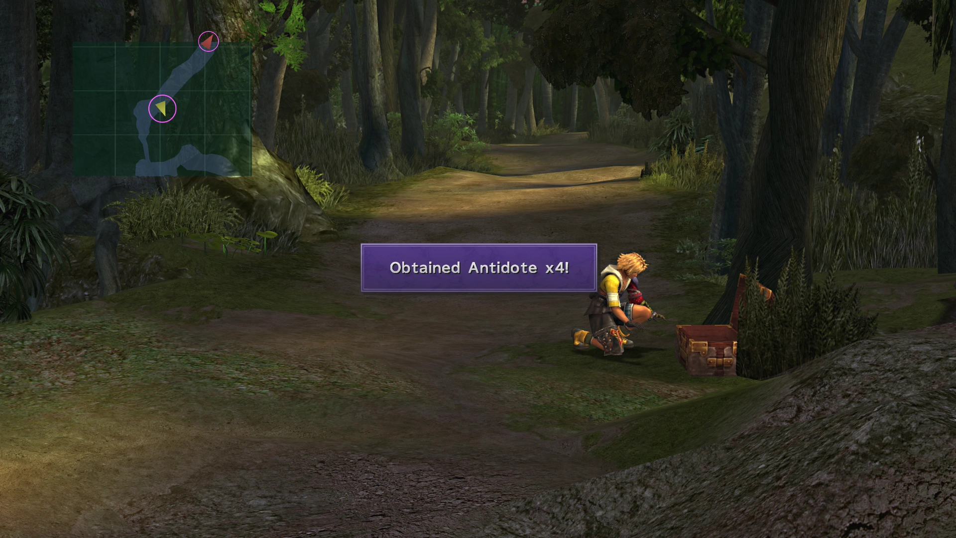 Tidus picking up Antidotes on the way to Guadosalam