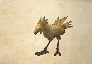 Chocobo