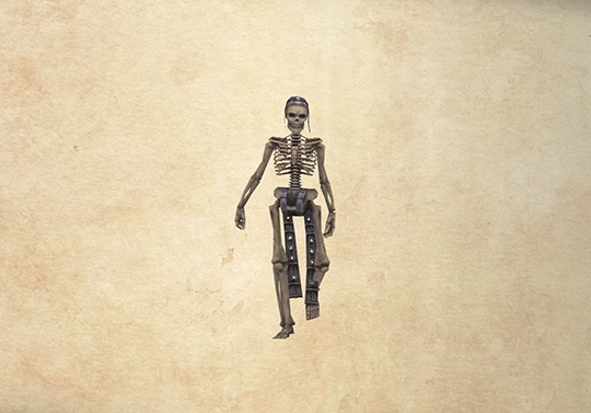 Bestiary screenshot of a Skeleton