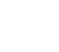 Coat Emblem Weapon Icon