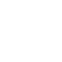 Electronic Component Item Icon