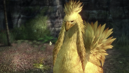 Chocobo Cinematic in the Font of Namva