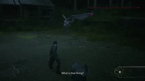 Animation of Chirada’s Lunge