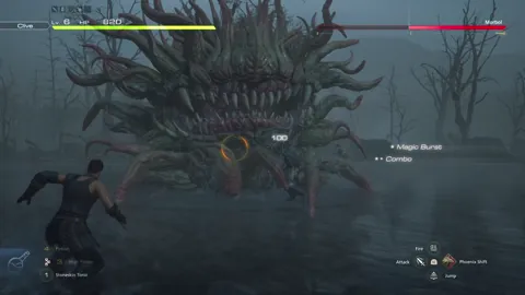 Animation of Morbol’s Acid Spit