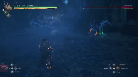 Animation of Necrophobe’s Dualcast attack