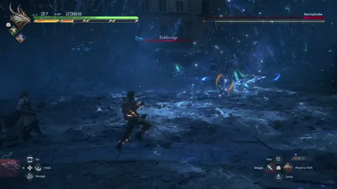 Animation of Necrophobe’s Enblizzaga attack