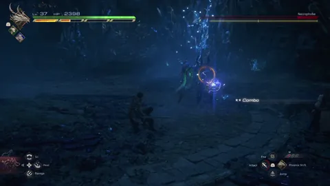 Animation of Necrophobe’s Enfiraga attack