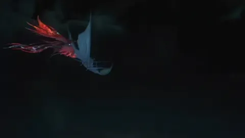 Animation of Embodied Phoenix’s Charged Fireball