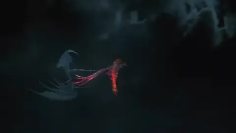 Animation of Embodied Phoenix’s Dodge