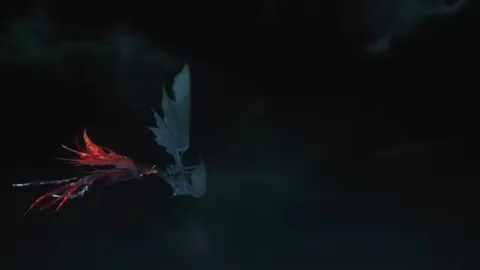 Animation of Embodied Phoenix’s Fireball