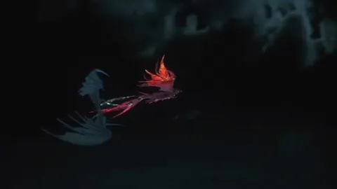 Animation of Embodied Phoenix’s Precision Dodge