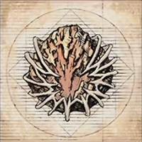 Accessory image for the Breath of Earth (Earthen Fury)