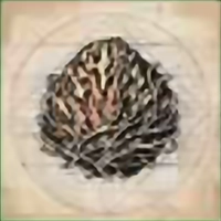 Accessory image for the Breath of Earth (Raging Fists)