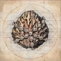 Accessory image for the Breath of Earth (Upheaval)