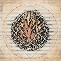 Accessory image for the Breath of Earth (Windup)