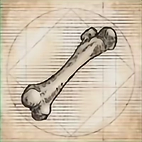 Key Item image for Elder Antelope Femur