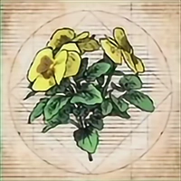 Key Item image for Morganbeard