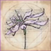 Key Item image for Wild Wyvern Tail