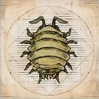 Materials image for Gil Bug