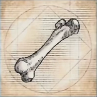 Materials image for Whitewyrm Bone