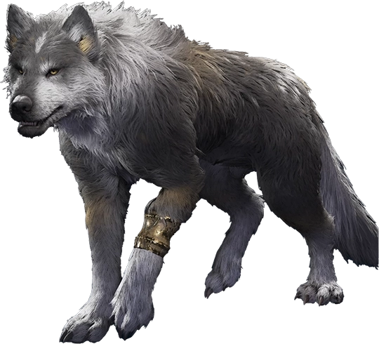 Portrait of Torgal taken from the Appearance section of the Arete Stone in the Hideaway