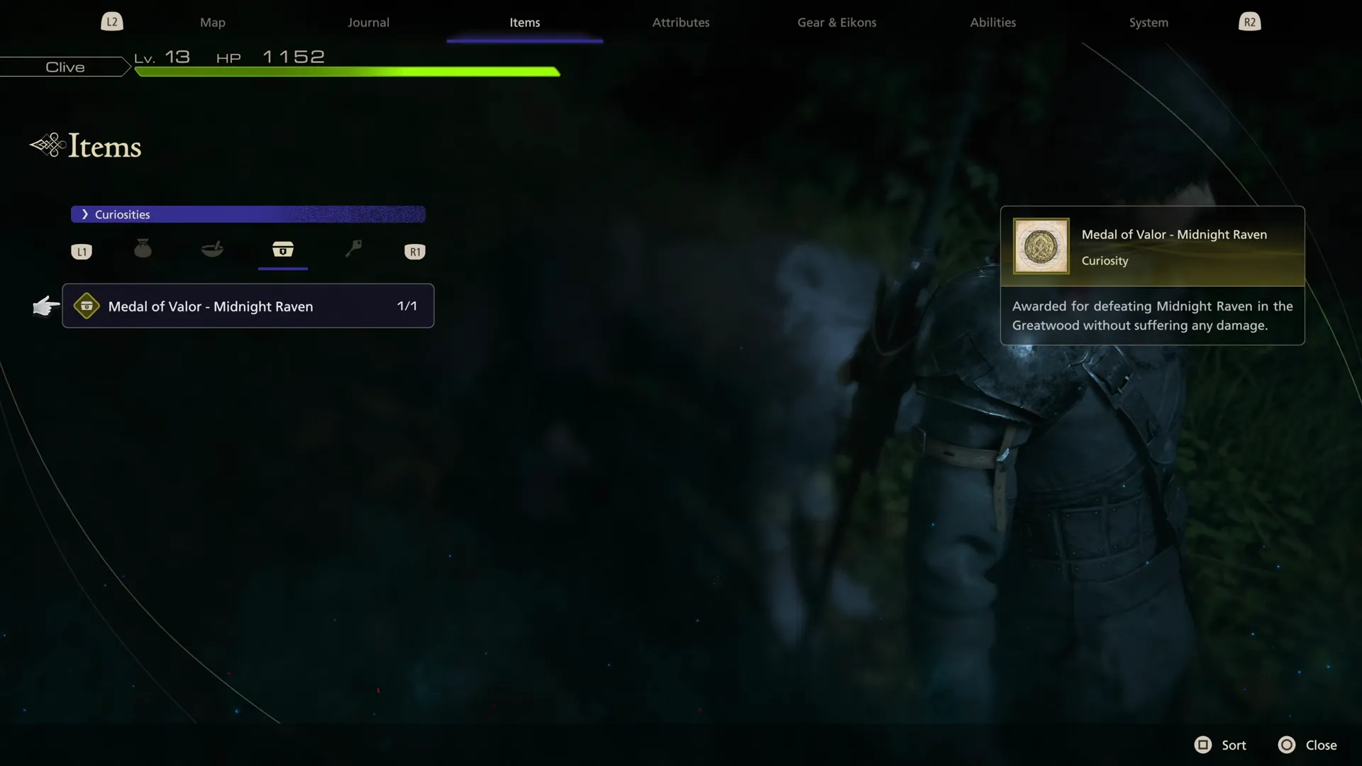 Examining the Medal of Valor - Midnight Raven in the Items menu