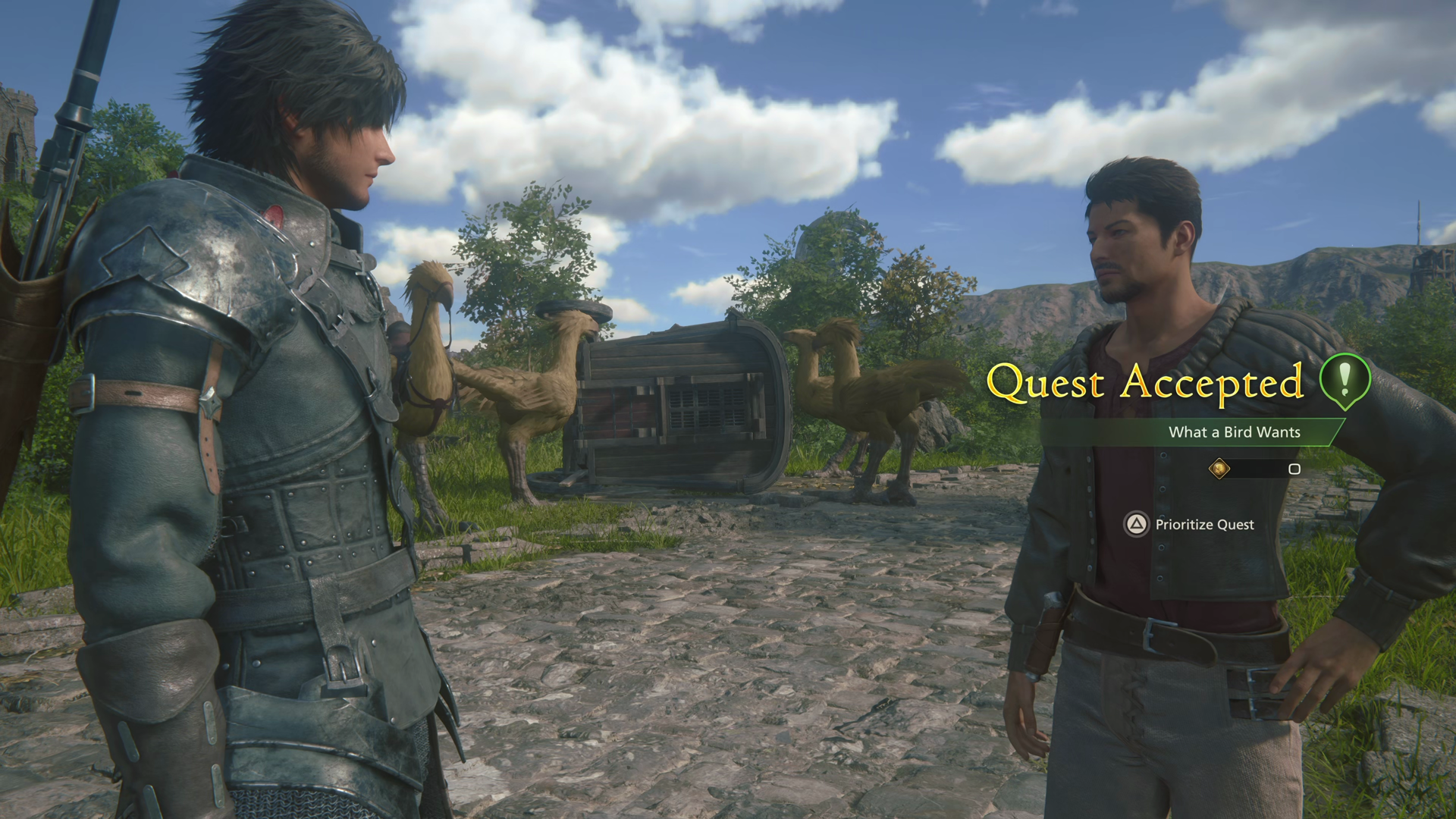 Accepting the What a Bird Wants Optional Quest from Rowan in Three Reeds