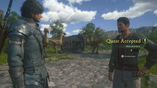 Accepting the What a Bird Wants Optional Quest from Rowan along the Three Reeds pathway
