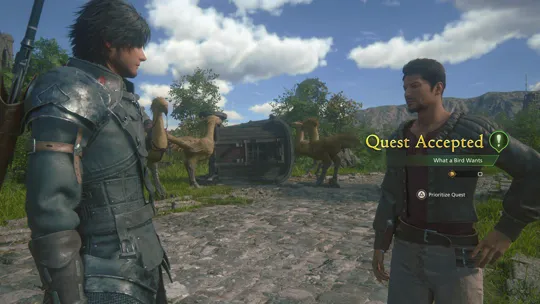Accepting the What a Bird Wants Optional Quest from Rowan along the Three Reeds pathway