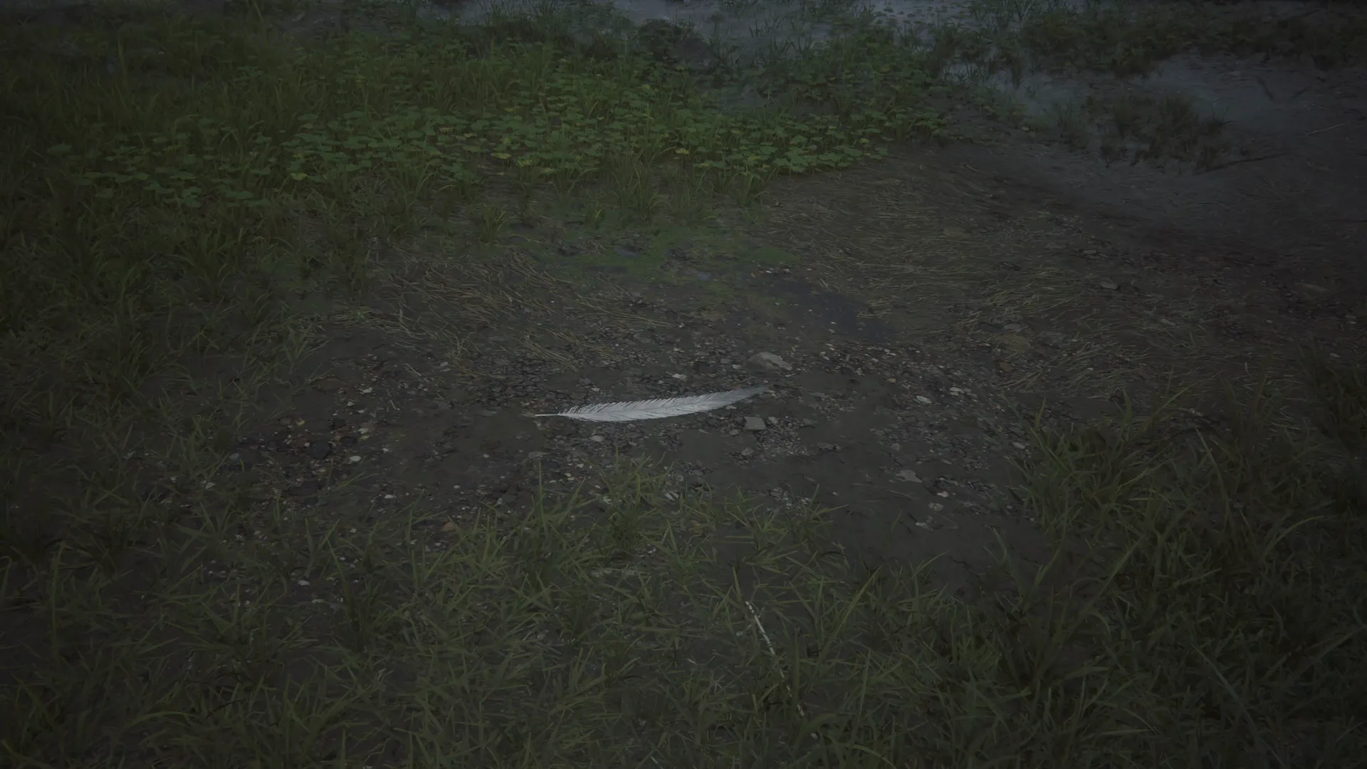 White Chocobo Pinion lying on the ground