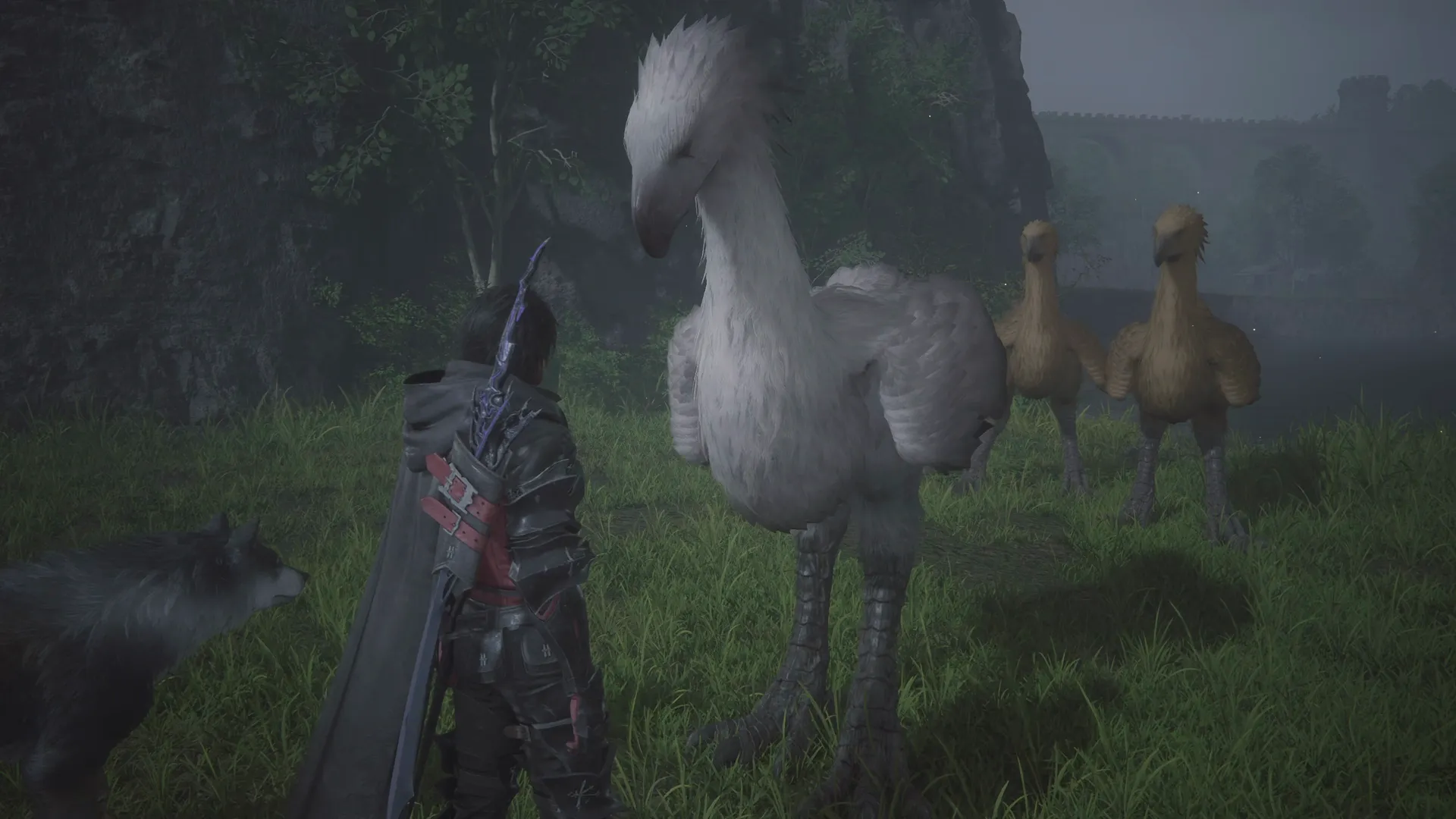 Clive looking on at Ambrosia and the other Chocobos