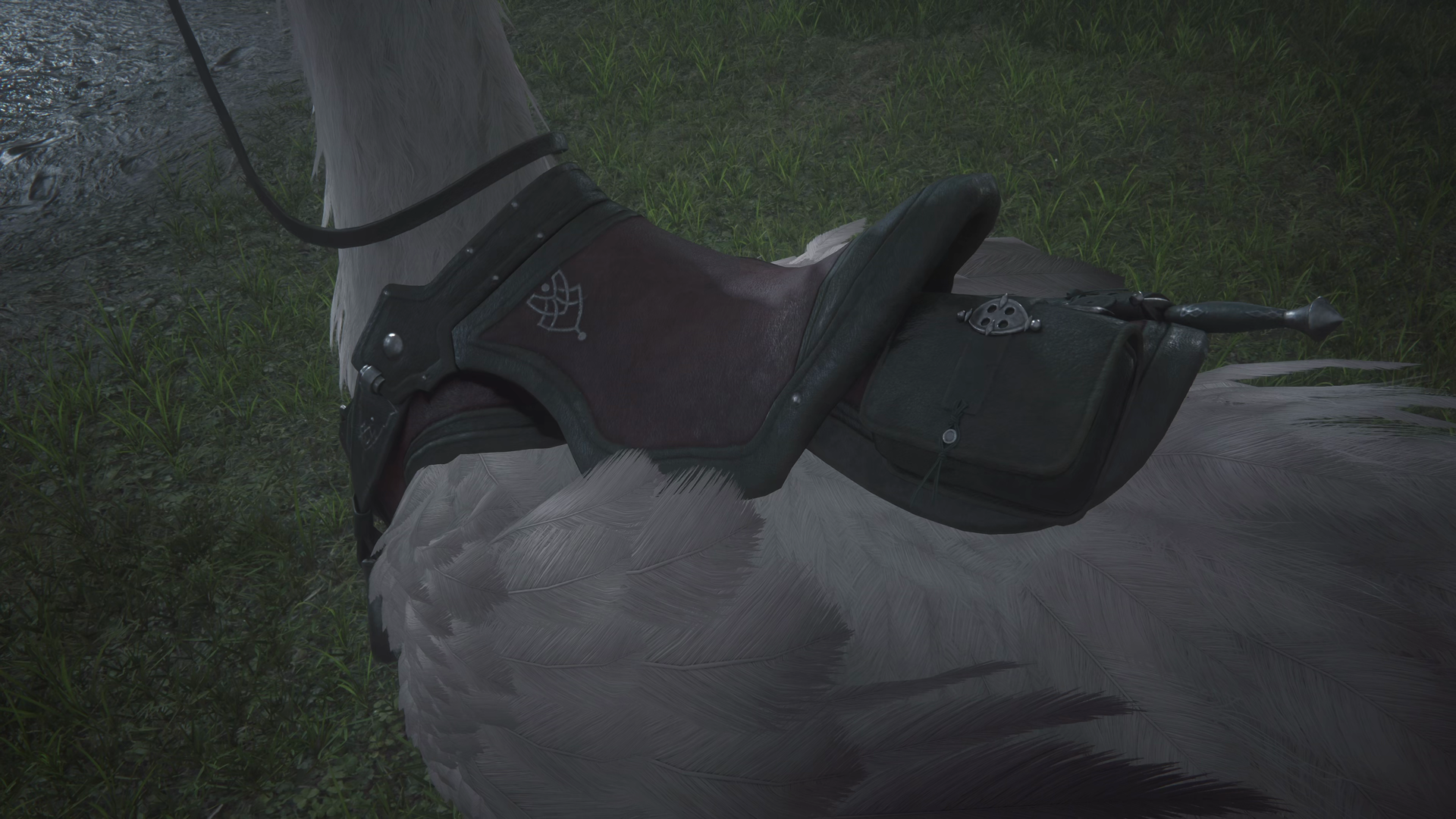 Ambrosia wearing a tack