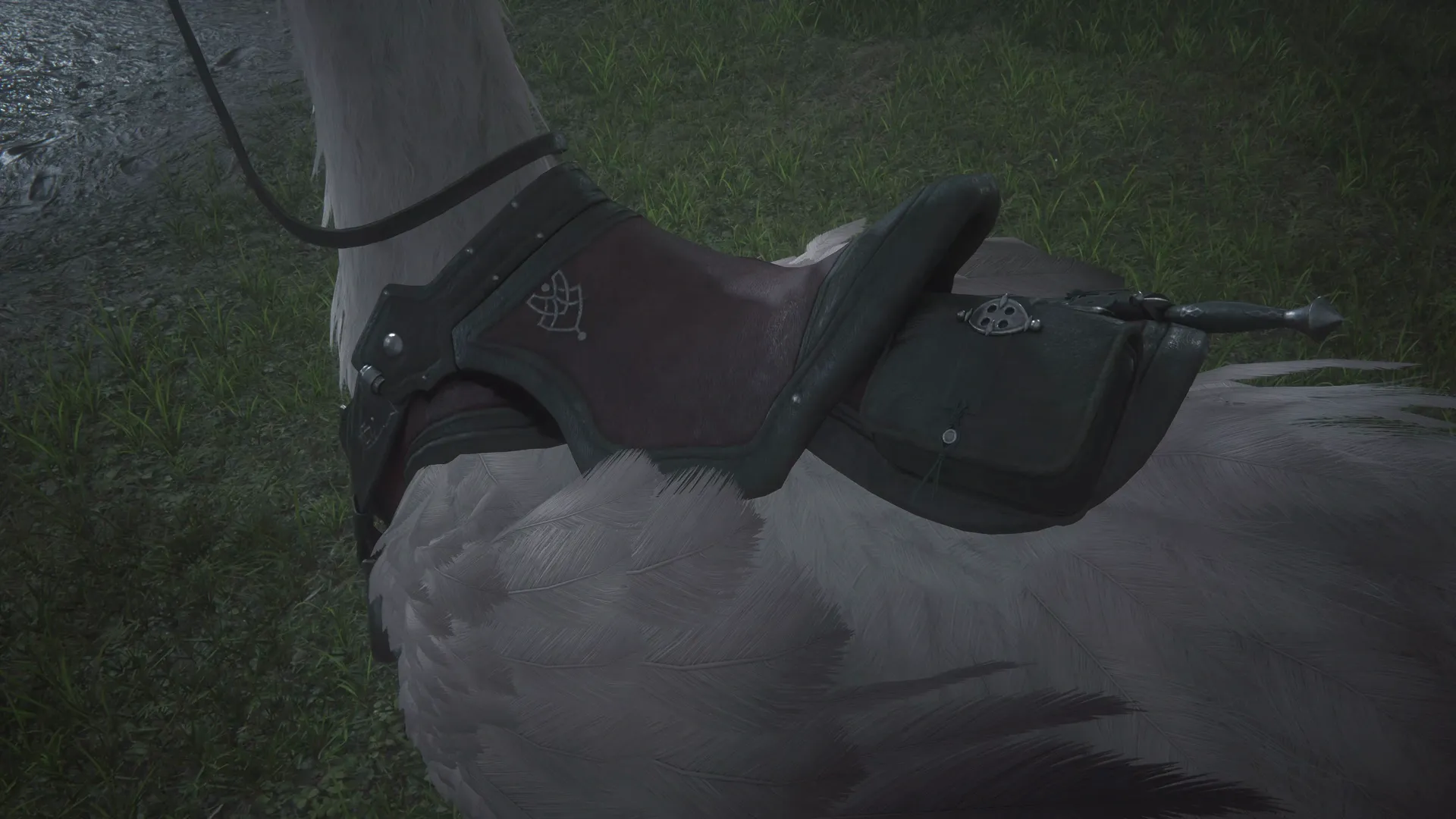 Ambrosia wearing a tack