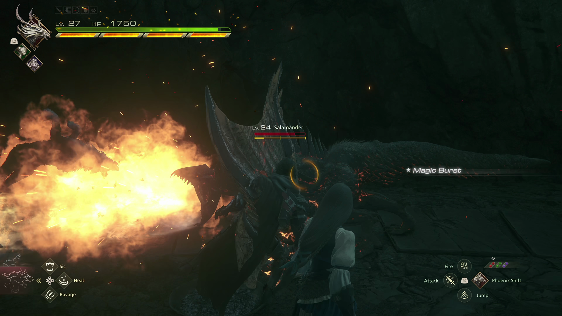 Battle against a Salamander