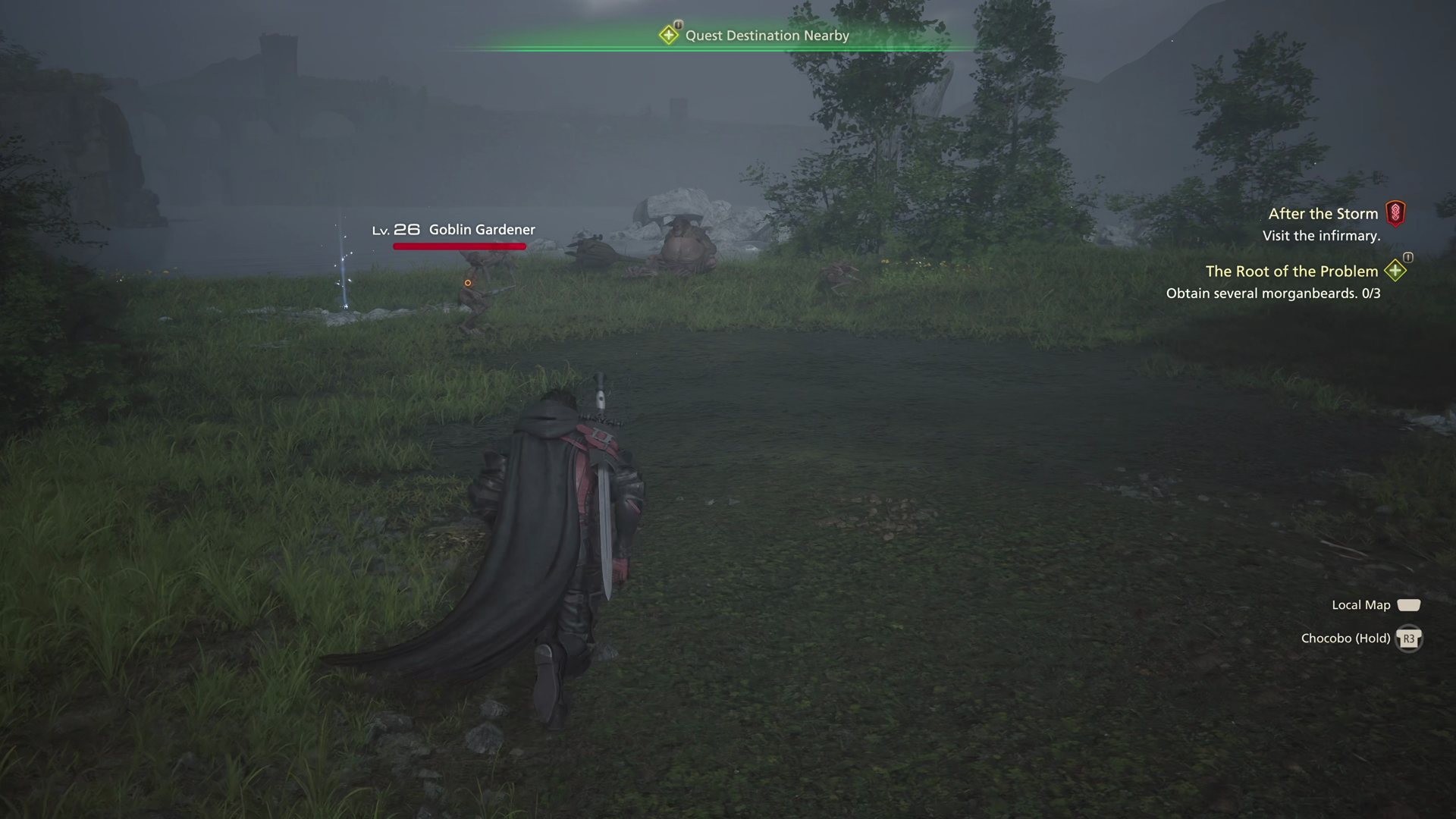 Approaching a group of regular goblins in Sorrowise