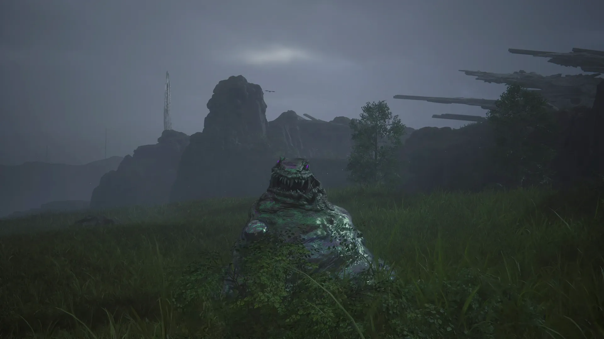 Close-up of Flan Prince at the start of the Notorious Mark battle in near Auldhyl