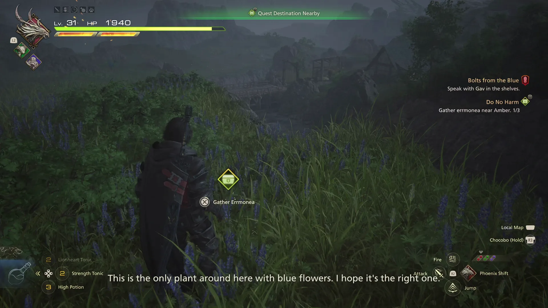 Gathering Errmonea Leaf in the fields near Amber